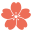 puce fleur