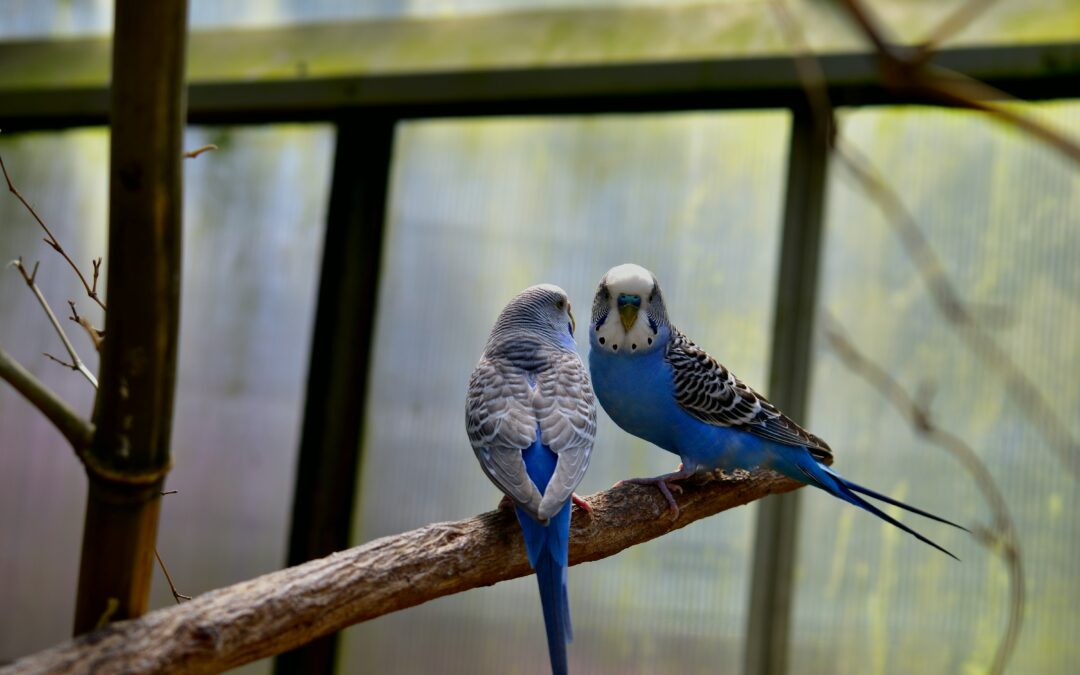 Passer au capital-risque (VC) : un changement de dimension